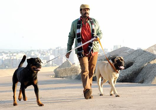 MLA Balakrishna First Birthday, MLA Balayya Birthday, Balakrishna Birthday News, MLA Balakrishna News Updates, Telugu News Balakrishna